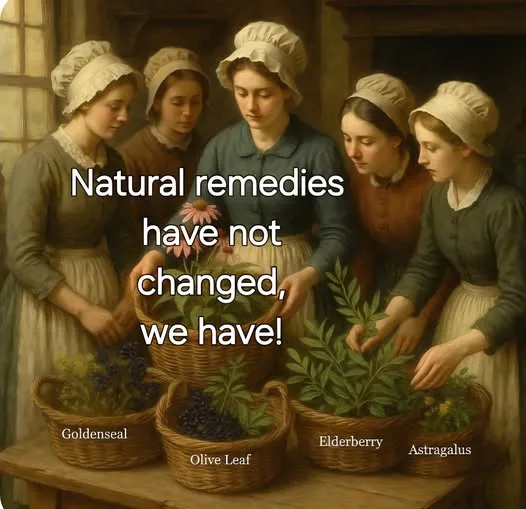 Miracle Herbs for Relief from Colds and Flu