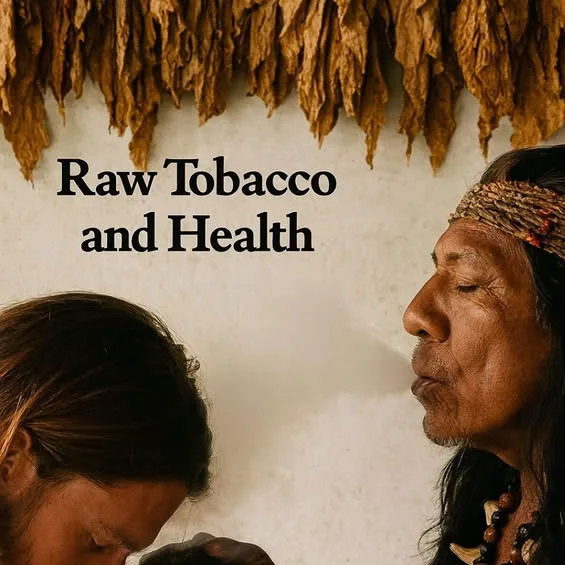 Mapacho: The Sacred Tobacco of the Amazon: