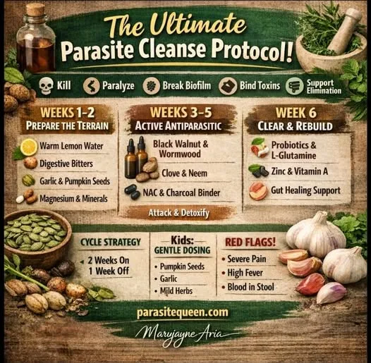 The Smart Way to Cleanse Parasites: