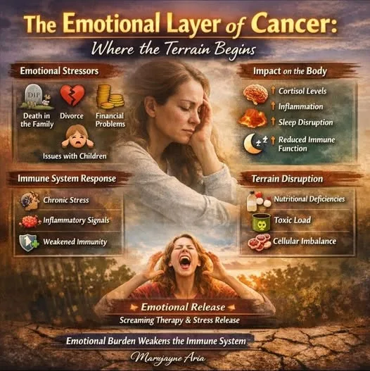 The Emotional Layer of Cancer: Where the Terrain Begins