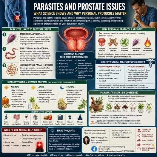 Parasites and Prostate Issues: What Science Shows and Why Personal Protocols Matter.