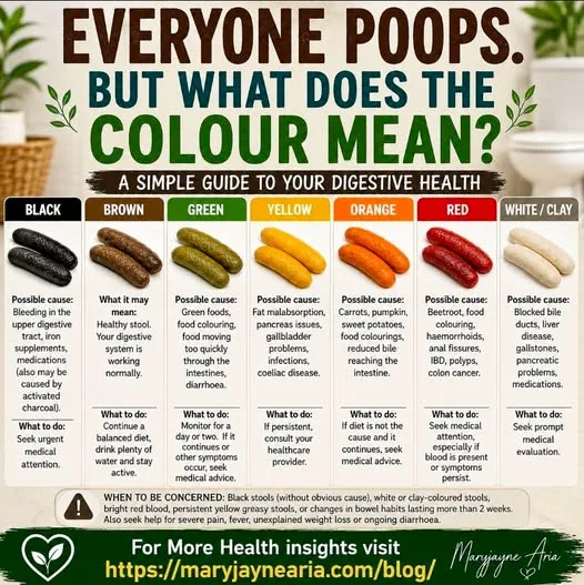 Everyone Poops. But What Does the Colour Mean?