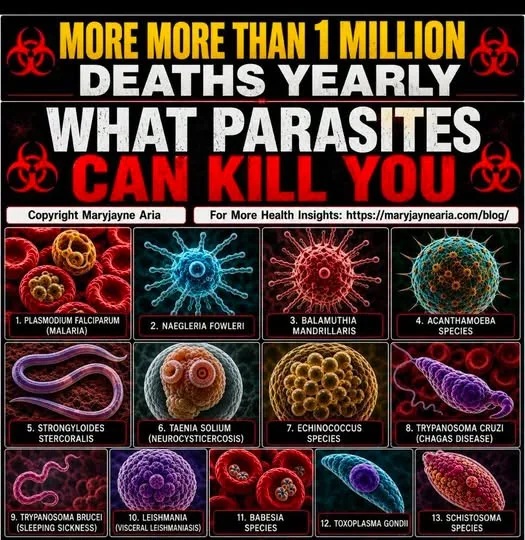 MORE THAN 1 MILLION DEATHS YEARLY DUE TO PARASITES. Why is this?